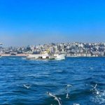 İstanbul Böcek İlaçlama