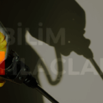 İlaçlama Yaptırmadan Önce Dikkat Edilmesi Gerekenler