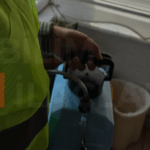 EN İYİ BÖCEK İLAÇLAMA ŞİRKETİ BİLİM BÖCEK İLAÇLAMA