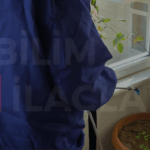 KOCAELİ BÖCEK İLAÇLAMA