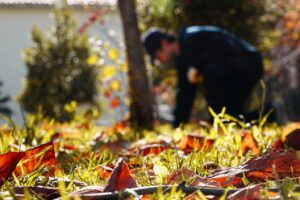böcek-ilaçlama-harem