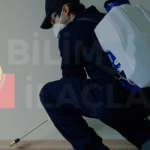 Böcek İlaçlama Nasıl Yapılır