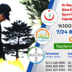 Böceklere Kökten Çözüm